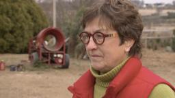 She made a promise to her husband to keep his tree farm